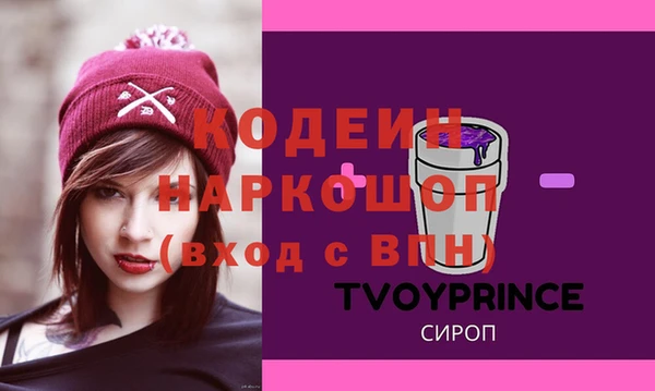 молекула духа Богородицк