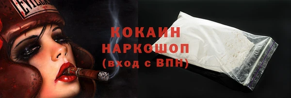 spice Богородск