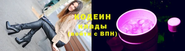 spice Богородск