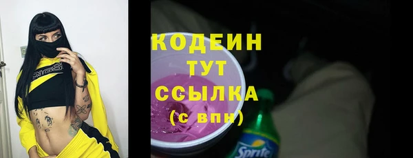spice Богородск