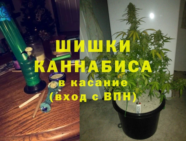 spice Богородск