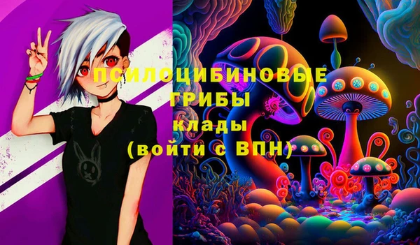 молекула духа Богородицк