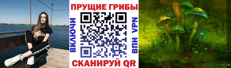 Псилоцибиновые грибы Psilocybe Белогорск