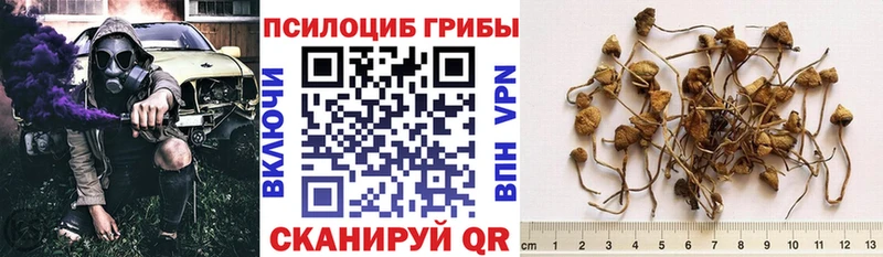 Галлюциногенные грибы MAGIC MUSHROOMS  Белогорск 